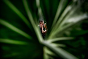 a bride and groom having an intimate candid moment at the Calgary Zoo by award winning photographer Sean LeBlanc